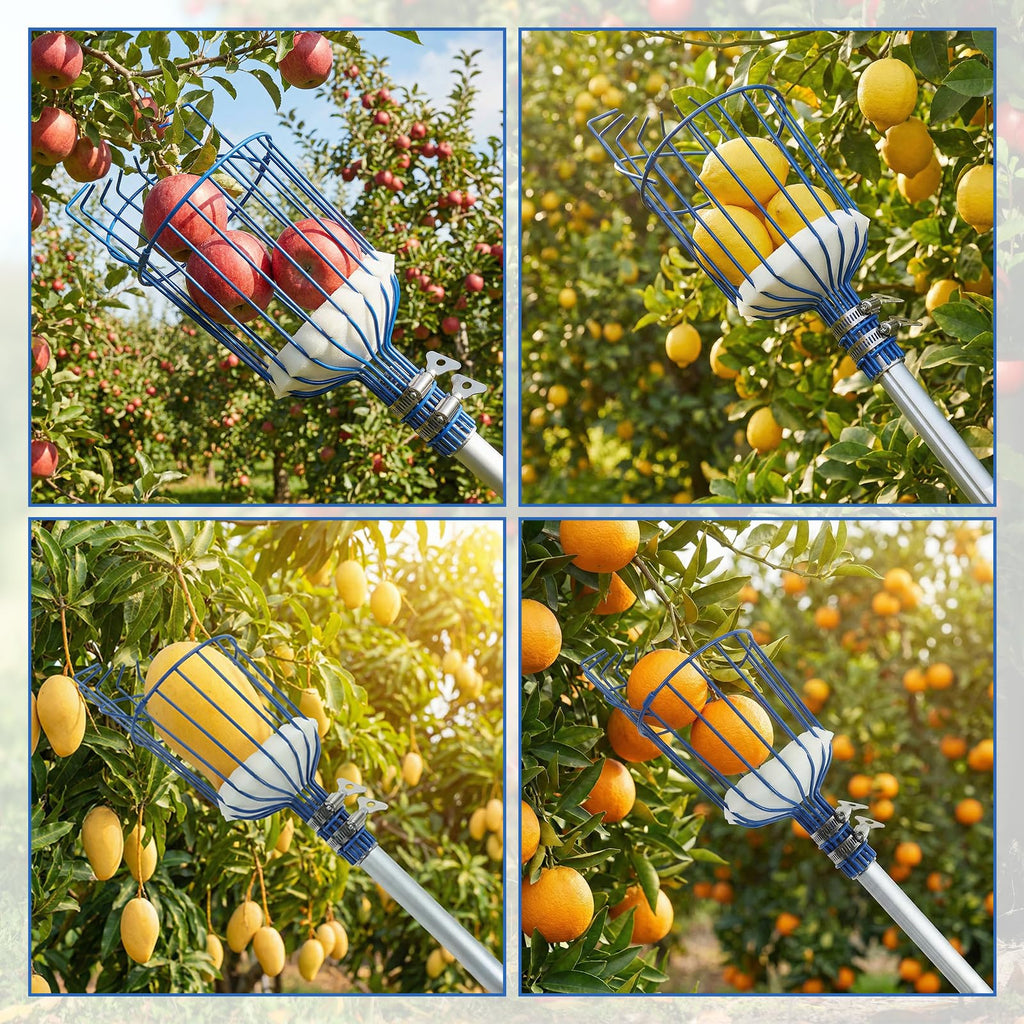 MAVRIZ 5-12ft Fruit Picker Pole with Basket, 20FT Reach Telescoping Apple Picker Extension Pole, Fruit Grabber for Harvesting Mango, Orange, Lemon, Avocado, Pear - Sturdy Aluminum Fruit Tree Picker