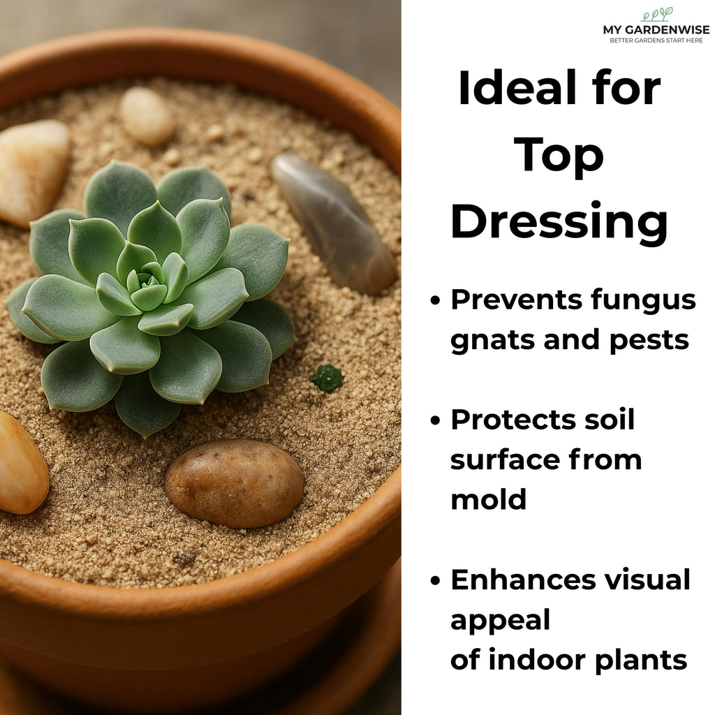 GARDENWISE Fine Sand for Plants – Horticultural Sand for Succulents, Cactus, Potting Mixes, Terrariums & Decorative Indoor Gardens, Made in USA (3 quarts - 8.4 lbs)