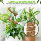 Moss Pole Monstera Plant Support 2 Pack 63 Inch Bendable Monstera Support