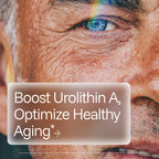 ProHealth Full Spectrum Urolithin A | 60 Capsules | Cellular Support for Healthy Aging | with Pomegranate & Red Grape Extracts | Ultra-Pure, Triple Lab-Tested | Manufactured in the USA