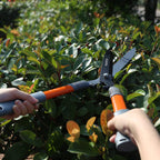 TRAMITEC Garden Hedge Shears, Manual hedge Clippers for Shaping Shrubs and Trimming Bushes. Hedge Clippers & Shears made with Durable Carbon Steel Blades, Shock-Absorbing Bumpers and Comfort Grips.
