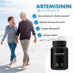 HUMANX Artemisinin 505mg with Bioperine for Greater Absorption - Supports Healthy Aging, Digestion, and Immunity - USA Third Party Tested - Vegan, Non-GMO - Artemisia Annua - Sweet Wormwood Extract