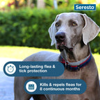 Seresto 8-Month Flea & Tick Collar for Large Dogs Over 18 lbs., 1ct