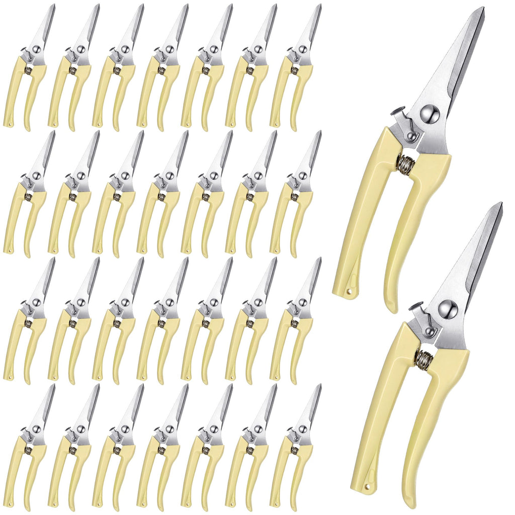 Chumia 30 Pcs Garden Flower Shears Pruning Scissors Heavy Duty Plant Scissors Trimming Garden Clippers Hand Tree Pruner for Yard Gardening Plants Hedge Flower Tree Cutting Secateurs (Beige)