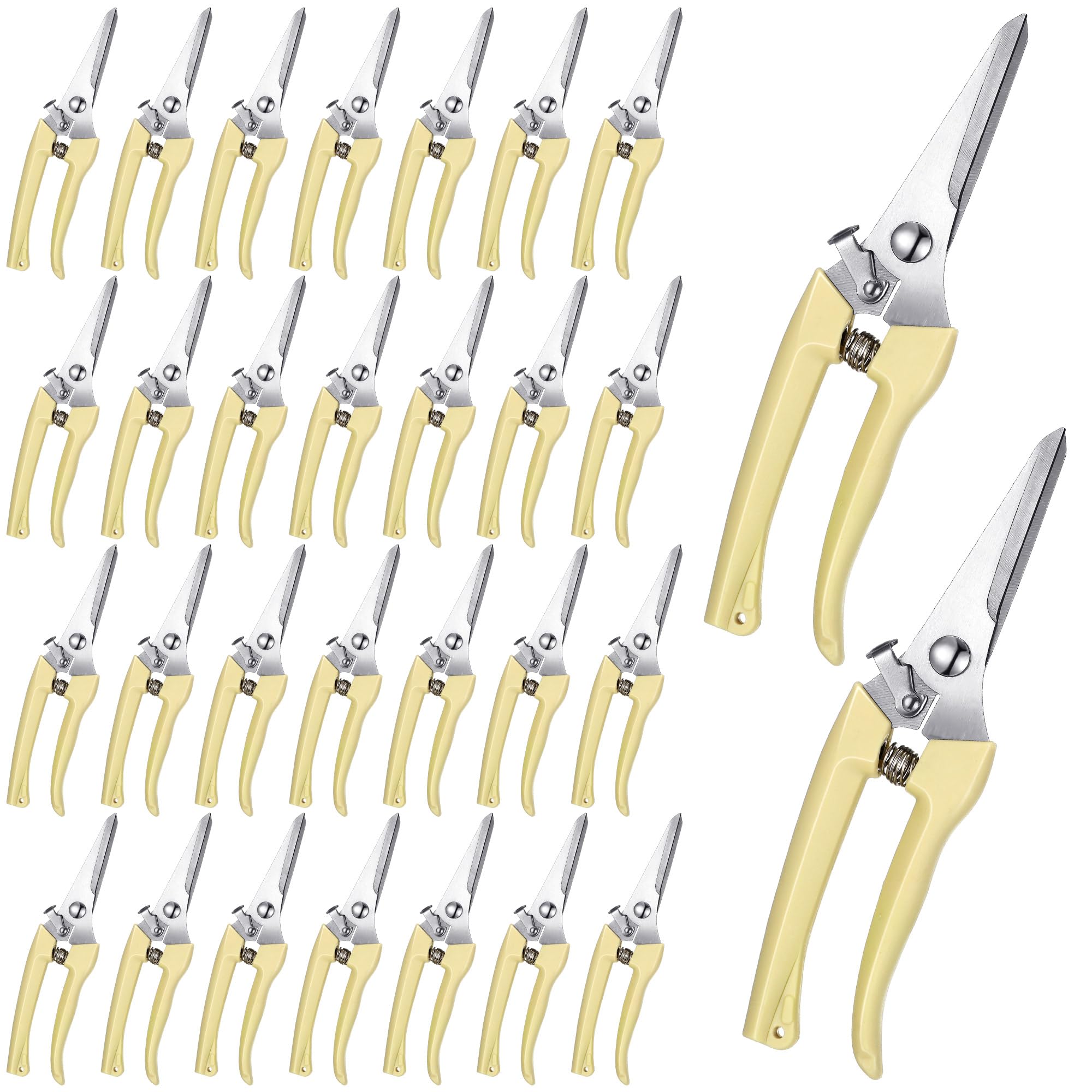 Chumia 30 Pcs Garden Flower Shears Pruning Scissors Heavy Duty Plant Scissors Trimming Garden Clippers Hand Tree Pruner for Yard Gardening Plants Hedge Flower Tree Cutting Secateurs (Beige)