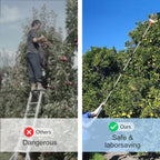 Walensee 5.5FT Fruit Picker with Basket, 35-65 Inch Compact Fruit Picker Pole, Lightweight Cherry Picker Tool for Pear, Mango, Apple, Orange, Lemon, Avocado Harvesting