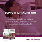 Host Defense Turkey Tail Capsules - Digestive Health & Immune Response Support Supplement - Mushroom Supplement for Gastrointestinal & Gut Microbiome Support - 30 Capsules (15 Servings)*