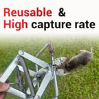 Mole Trap Scissor 2 Pack, Upgraded Mole Traps for Lawns that Kill Best, Galvanized Steel Mole Killer, Step Setup