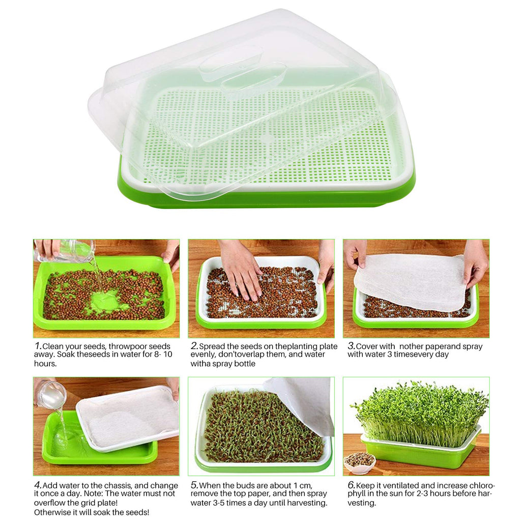 5 Layers Seed Starter Kit - Seed Sprouter Trays with Clear Lid & Stainless Steel Shelf, Soil-Free Germination Trays for Indoor/Outdoor Microgreens, Wheatgrass Mung Beans Cat Grass & Seedling Growing