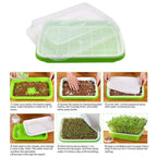 5 Layers Seed Starter Kit - Seed Sprouter Trays with Clear Lid & Stainless Steel Shelf, Soil-Free Germination Trays for Indoor/Outdoor Microgreens, Wheatgrass Mung Beans Cat Grass & Seedling Growing