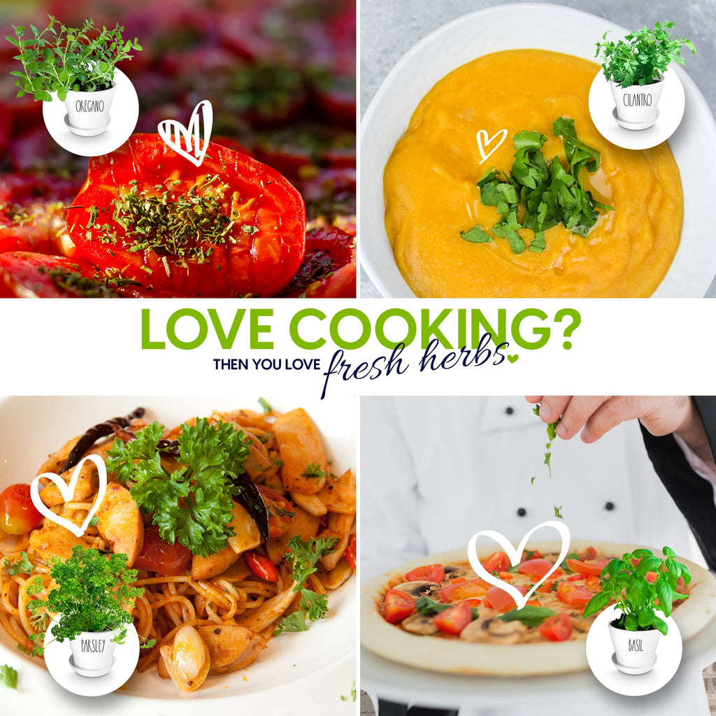 Herb Garden Starter Kit - 8 USA Culinary Herbs