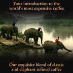 Black Ivory Coffee Mahout's Blend | Elephant-Refined Coffee Blend | Thai Arabica Whole Bean Coffee | 40 g (1.4 oz)