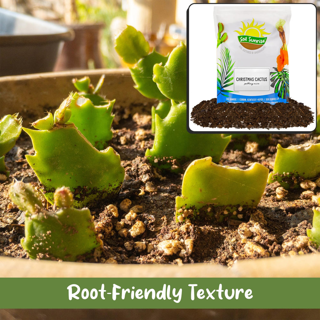 Soil Sunrise Christmas Cactus Potting Soil Mix (4 Quarts) Custom Blend for Xmas, Easter, and Thanksgiving Cactus Tropical Indoor Houseplants