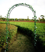 1. GO Steel Garden Arch, 7'8" High x 4'5" Wide, Garden Arbor for Various Climbing Plant, Outdoor Garden Lawn Backyard