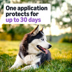 Amazon Basics Flea and Tick Topical Treatment and Prevention for Large Dogs (45-88 lbs), Fast Acting and Long Lasting, Tick Prevention, 6 Count, Packaging May Vary