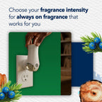 Glade PlugIns Refills Air Freshener, Juniper & Teak, Scented and Essential Oils for Home and Bathroom, 0.67 Fl Oz, 10 Count