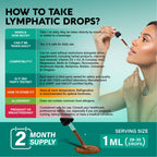 USDA Organic Lymphatic Drainage Supplement - Echinacea | Elderberry | Dandelion | Rosehip | Cleavers | Calendula | Burdock - Made in USA - Lymph System Drops - Immune Support, Cleanse & Detox, 2 Pack