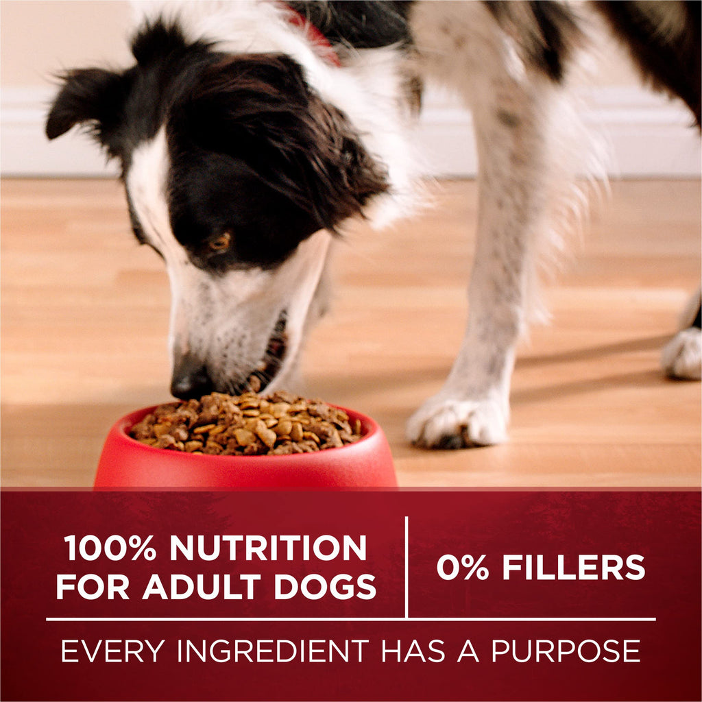 Purina ONE True Instinct Dry Dog Food, Real Turkey & Venison, 15 lb Bag