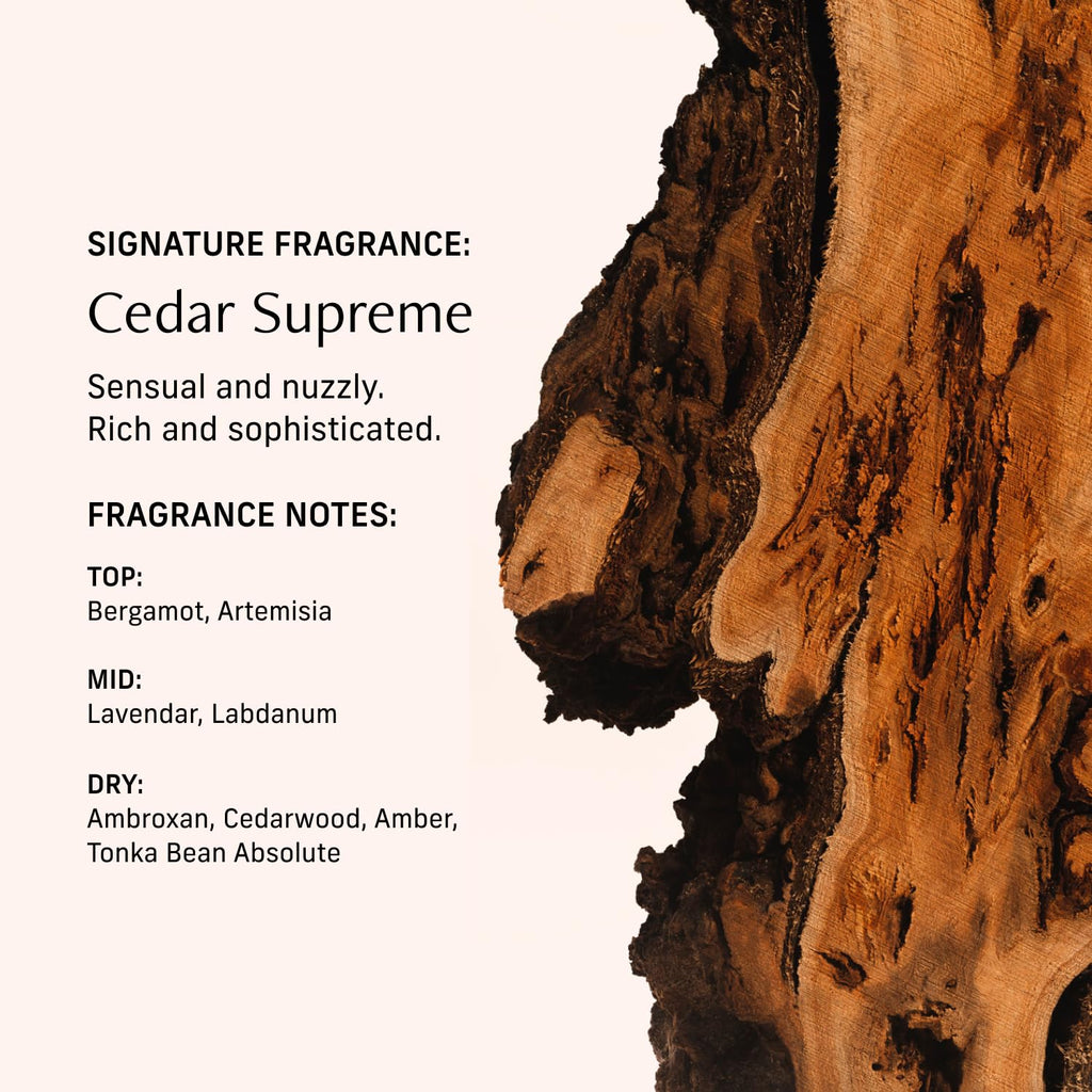 CYKLAR Perfume Oil for Skin – Cedar Supreme Scent – Crisp, Aromatic & Warm Perfume Fragrance with Bergamot, Lavender & Cedarwood Notes – 30ml