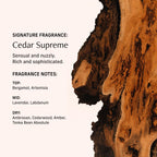 CYKLAR Perfume Oil for Skin – Cedar Supreme Scent – Crisp, Aromatic & Warm Perfume Fragrance with Bergamot, Lavender & Cedarwood Notes – 30ml