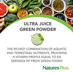 NaturesPlus Ultra Juice Green Drink - 1.32 lb - Supports Immune Health, Digestion & Energy Production - Organic, Non-GMO, Vegan, Gluten Free - 60 Servings