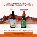 Herbs Etc. ChlorOxygen Chlorophyll Concentrate - Highly-Concentrated Energy Support - Aids Healthy Blood Circulation - Natural Vitality Support - Alcohol-Free - 2 fl oz (About 132 Servings)