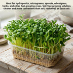 1Roll10" X 236"Microgreen Grow Mats,Natural Fiber Grow Mats,Hydroponic Growing Pads With Scissors and Tape Measure for Wheatgrass,Bean Sprouts,and Hydroponic Seed Growing Compatible with Growing Trays