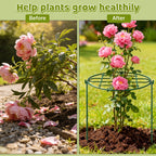 TTQ 8 Pack 12 x 15.7 inch Peony Cages and Supports,Metal Grow Through Plant Supports for Outdoor Plants,Flowers Support Rings Top-Heavy Plant Brace Support Hoop for Vegetables,Rose,Tomato,Orchids