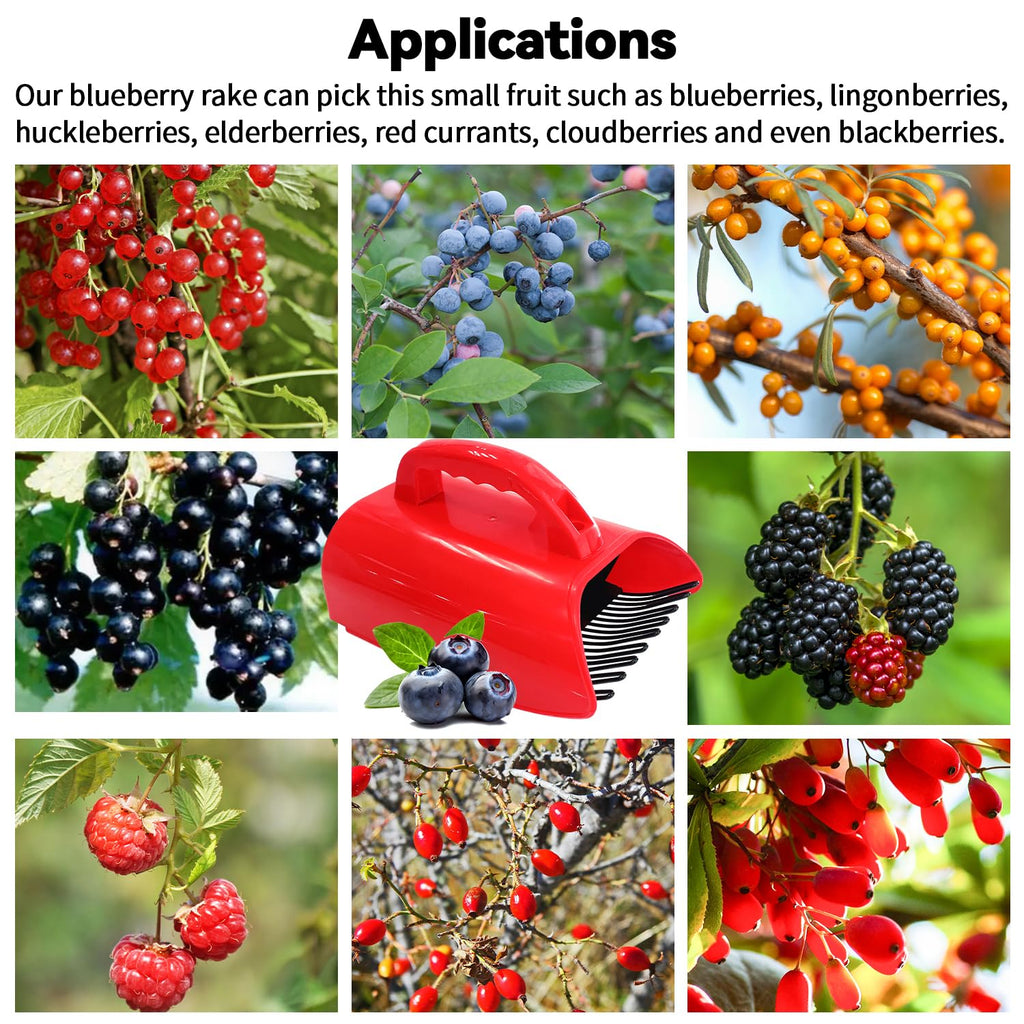 SUGOOE 2 Pack Blueberry Picker with Metallic Comb and Ergonomic Metal Handle, Plastic Scoop for Blueberries Lingonberries Huckleberries (Red)
