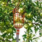 Walensee 5.5FT Fruit Picker with Basket, 35-65 Inch Compact Fruit Picker Pole, Lightweight Cherry Picker Tool for Pear, Mango, Apple, Orange, Lemon, Avocado Harvesting