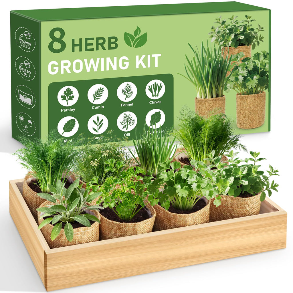 LUOJIBIE Indoor Herb Garden Kit, Complete Herb Starter Growing Kit with Seeds & Tools, Christmas Birthday Gifts for Women Men Mom Dad, House Warming New Home Kitchen Gifts for Girls Boys Plant Lovers