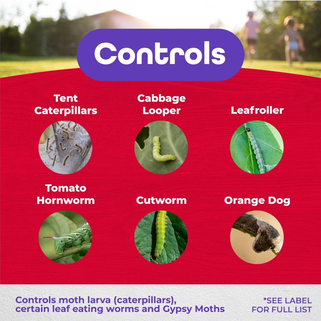 Bonide Thuricide BT Concentrate, 16 oz Ready-to-Mix Solution for Caterpillar, Worm and Moth Control in Home Garden