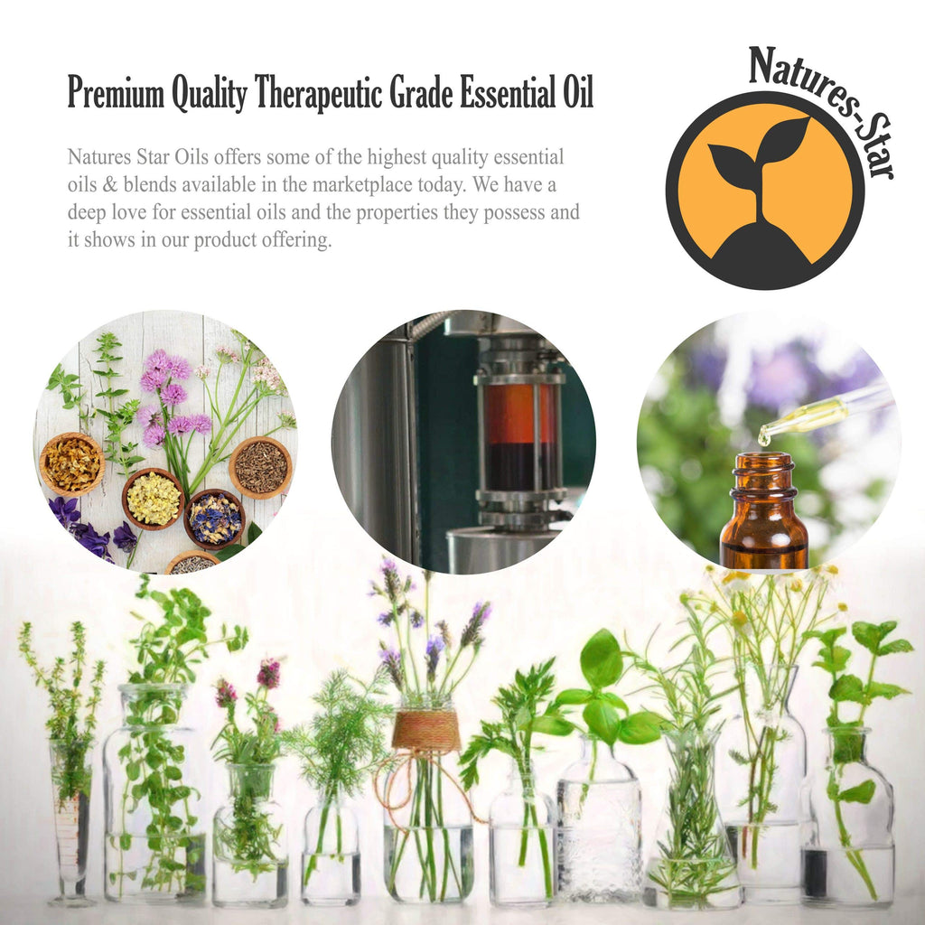 Natures-Star 2 Pack 16oz Bulk Size Tea Tree Essential Oil - (32 Ounce Total) - Therapeutic Grade Essential Oil - 16 Fl Oz Tea Tree Oil Bottles - Bulk Tea Tree Oil - Bulk Essential Oils