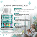 Clean Nutraceuticals St Johns Wort Rhodiola Rosea Holy Basil Ashwagandha - Mood Support for Women and Men with Vitamin C & Black Pepper Extract - 90 Caps