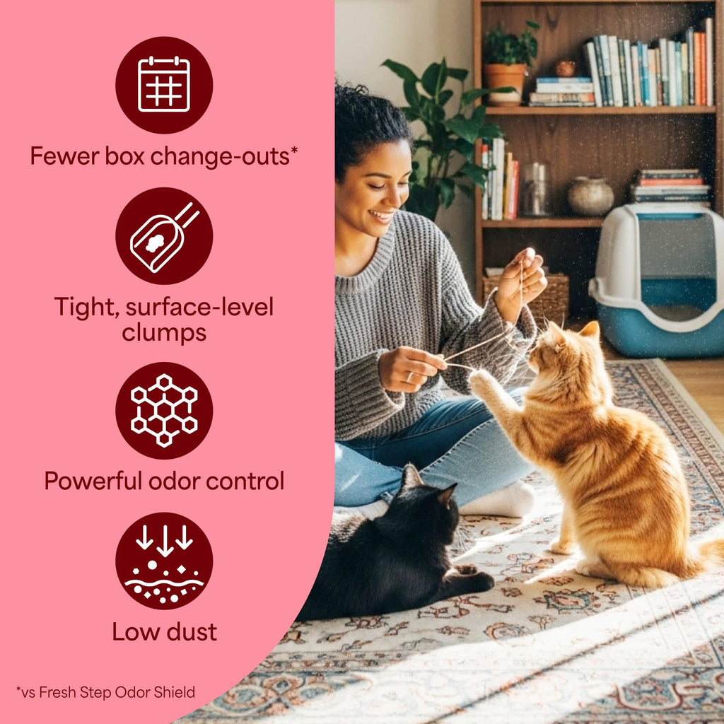 Fresh Step Advanced Ever Fresh Multi Cat Clumping Cat Litter, 16 lb., 2 Pk