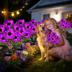 ANGMLN Solar Garden Lights 6 Pack 36 Solar Sunflower Lights, Waterproof Solar Purple Flower Light for Outdoor Decoration, Decorative Stakes for Yard,Landscape,Patio,Gifts for Women