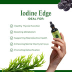 Go Nutrients Iodine Edge – Organic Nascent Iodine Liquid Supplement for Thyroid Support, Energy, Immune & Cognitive Health – High Absorption Drops - Natural Tincture for Women & Men – 1 oz