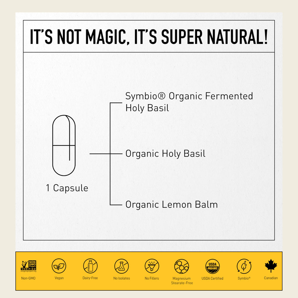 Holy Basil Supplements - Fermented Holy Basil with Natural Lemon Balm - Daily Supplements for Women & Men - Vegan, Non-GMO - Living Alchemy, 60 Pcs