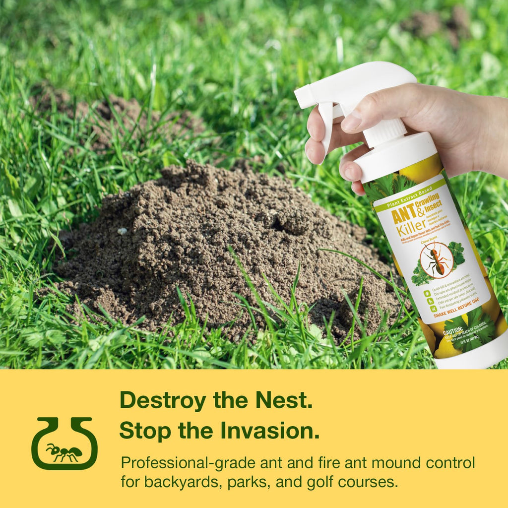 EcoVenger By EcoRaider Ant Killer & Crawling Insect Killer, 16 OZ Ready to Use, Indoor & Outdoor, Kills & Repels, Lasting Prevention, Natural & Non-Toxic Plant Based Formula, Pleasant Citrus Scent
