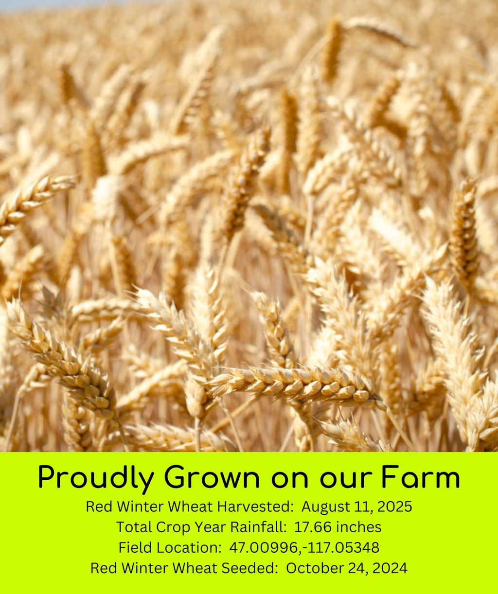 Palouse Brand Certified Glyphosate Residue Free Hard Red Winter Wheat Berries | 10 LBS | Family Farmed in Washington State | Non-GMO Project Verified | Certified Kosher Parve Bag