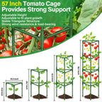 Legigo 2 Pack 57 Inch Tomato Cage for Garden, Heavy-Duty Tomato Trellis Plant Support Stakes, Adjustable Garden Trellis Plant Cage for Climbing Plants Peppers Outdoor Raised Garden Bed and Vegetables