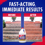 30 SECONDS Outdoor Mold & Mildew Cleaner & Stain Remover Concentrate | 128 fl. oz. | 2 Pack