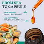 GLX3 Joint Support Extra Strength Omega-3 Supplement | Premium New Zealand Green Lipped Mussel Oil - Comfort, Flexibility, Muscle Recovery - ETA EPA DHA Omega 3 Supplement Capsules by Haka Life