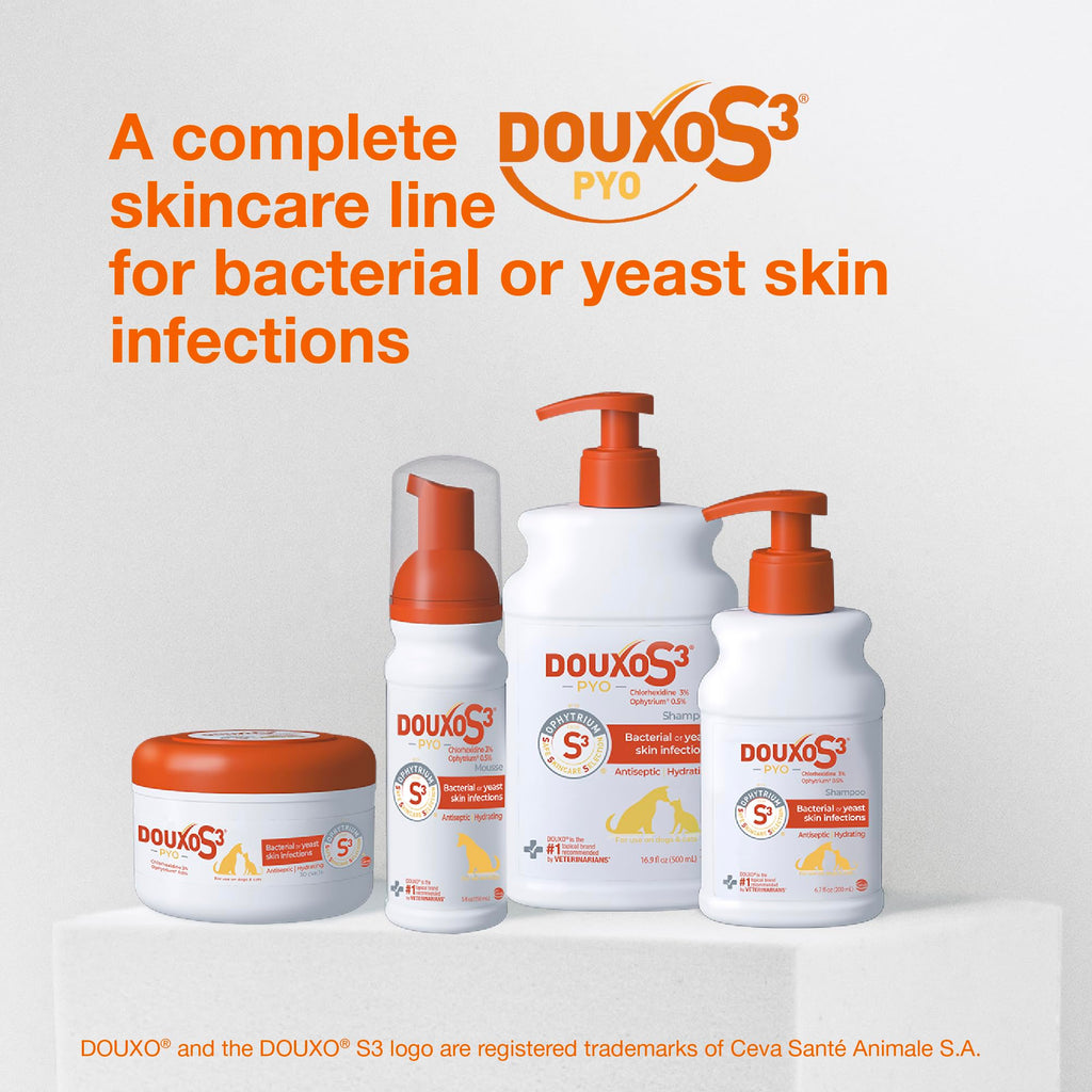 Douxo S3 PYO Chlorhexidine Shampoo For Dogs, Medicated Shampoo Antibacterial & Antiseptic, Yeast Infection Treatment for Dogs & Cats, Clinically Proven, 16.9 fl oz