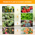 FECiDA Smart Control Desk Grow Light, Tabletop Grow Lights for Indoor Plants, Seed Starting, Bonsai, 4/8/12/16/20H Timer, 25 Watt Power Draw, Bright Enough Like A Small Sun, 16"-24" Height Adjustable
