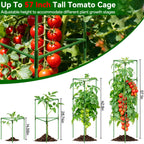 Halatool 57" Tall Tomato Cages, 4 Pack Heavy Duty Plant Support for Garden