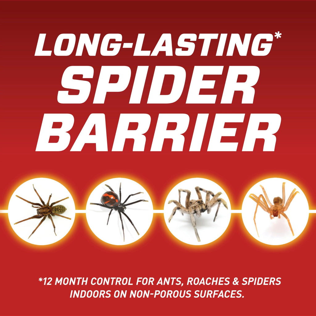 Ortho Home Defense Insect Killer for Indoor and Perimeter Concentrate - Kills Ants, Cockroaches and Spiders, 32 fl. oz.