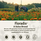 Floradix Iron Tablets - Iron Supplement with B Vitamins, Folic Acid, Vitamin C & More - Energy Support - Vegetarian & Gluten-Free - 120 Tablets (120 Servings)