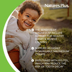 NaturesPlus Animal Parade MagKidz, Natural Cherry Flavor - 90 Animal-Shaped, Chewable Tablets - Pack of 3 - Bone & Muscle Health Support - Non-GMO, Vegan, Gluten Free, Sugar Free - 135 Total Servings