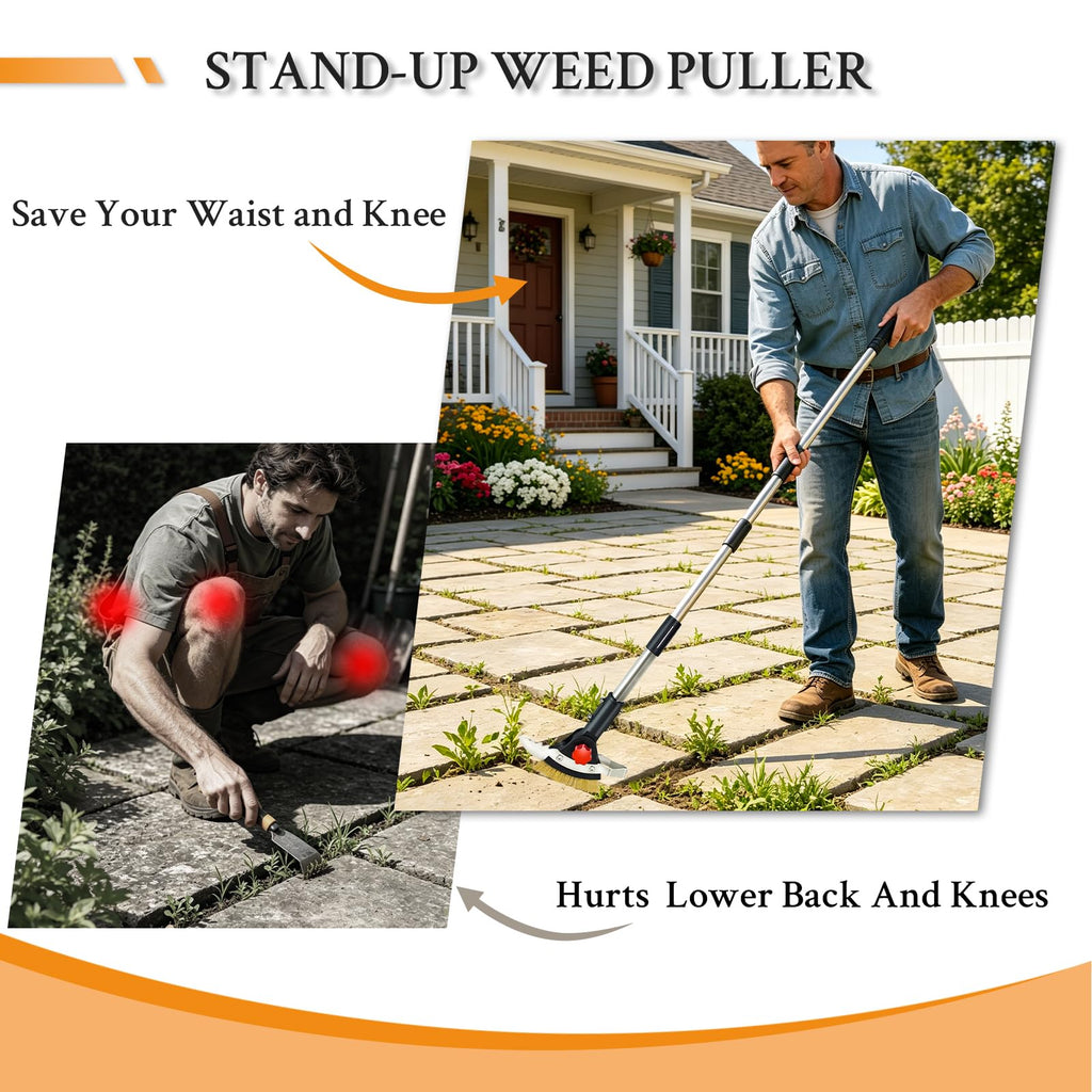 Crack Weeder Tool for Driveway & Patio, Crevice Weeding Tool with Long Handle, Stainless Steel Weed Remover for Sidewalk, Garden, Lawn